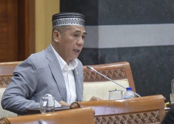 Anggota Komisi I DPR RI Fraksi Partai Kebangkitan Bangsa (PKB), Syamsu Rizal,