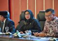 Wakil Ketua Komisi IX DPR RI, Nihayatul Wafiroh