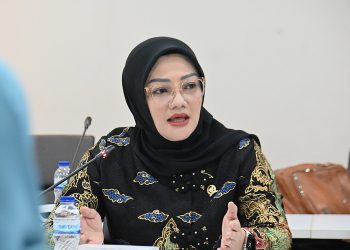 Anggota BKSAP, Adde Rosi