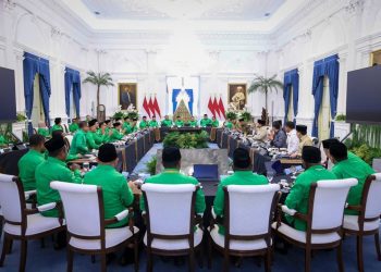 Audiensi Pengurus DPP PKB dengan Presiden Prabowo