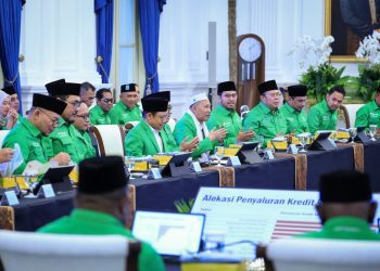 DPP PKB