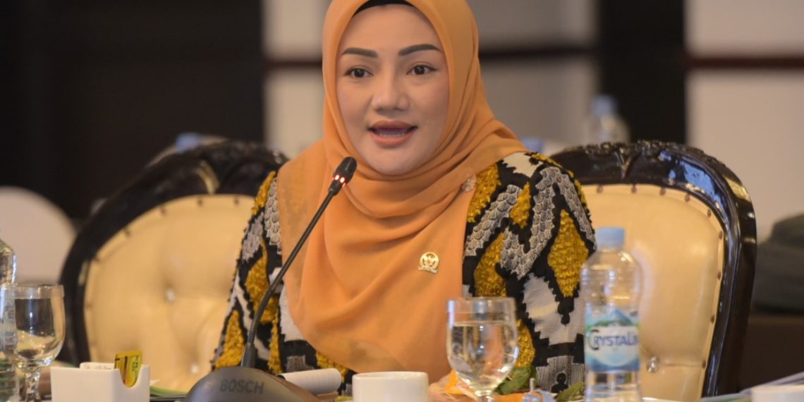 Anggota Komisi X DPR RI, Adde Rosi