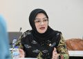 Anggota Komisi X DPR RI, Adde Rosi