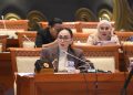 Anggota Komisi I DPR RI Amelia Anggraini