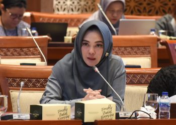Anggota Komisi I DPR RI, Sarifah Ainun Jariyah,