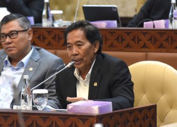 Anggota Komisi V Dewan Perwakilan Rakyat Republik Indonesia, Fadholi,