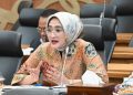 Anggota Badan Anggaran DPR RI, Rina Saadah