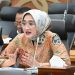 Anggota Badan Anggaran DPR RI, Rina Saadah