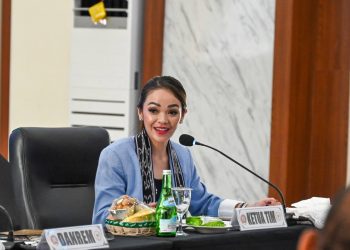 Ketua Umum DPP Garnita Malahayati Partai NasDem sekaligus Anggota Komisi I DPR RI Andina Thresia Narang