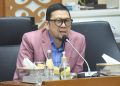 Anggota Komisi II DPR RI, Ahmad Doli Kurnia
