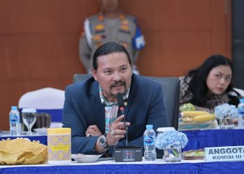 Ketua Pansus RUU tentang Hukum Perdata Internasional DPR RI, Martin Daniel Tumbelaka