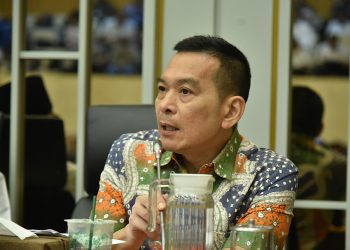 Anggota Komisi IV DPR RI, Daniel Johan