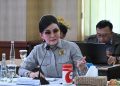 Anggota Komisi VI DPR RI, Christiany Eugenia Paruntu,