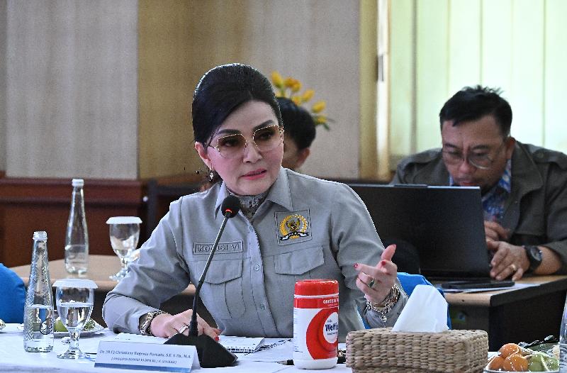 Anggota Komisi VI DPR RI, Christiany Eugenia Paruntu,