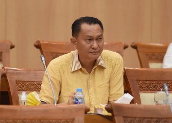 Ketua Komisi XII DPR RI, Bambang Patijaya