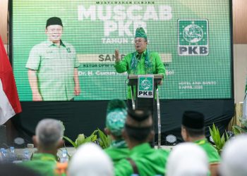 Wakil Ketua Umum DPP PKB, Cucun Ahmad Syamsurijal