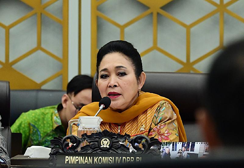 Ketua Komisi IV DPR RI, Siti Hediati Soeharto,