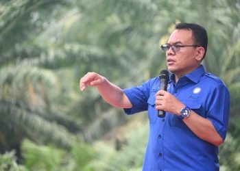 Politisi PAN, Saleh Partaonan Daulay