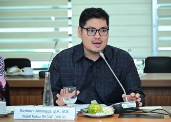 Wakil Ketua BKSAP DPR RI, Ravindra Airlangga