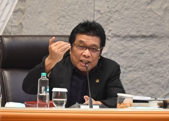 Wakil Ketua Komisi V DPR RI, Ridwan Bae