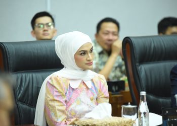 Wakil Ketua Komisi XII DPR RI, Putri Zulkifli Hasan