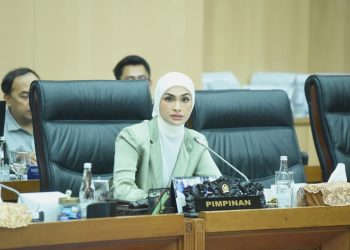Wakil Ketua Komisi XII DPR RI, Putri Zulkifli Hasan