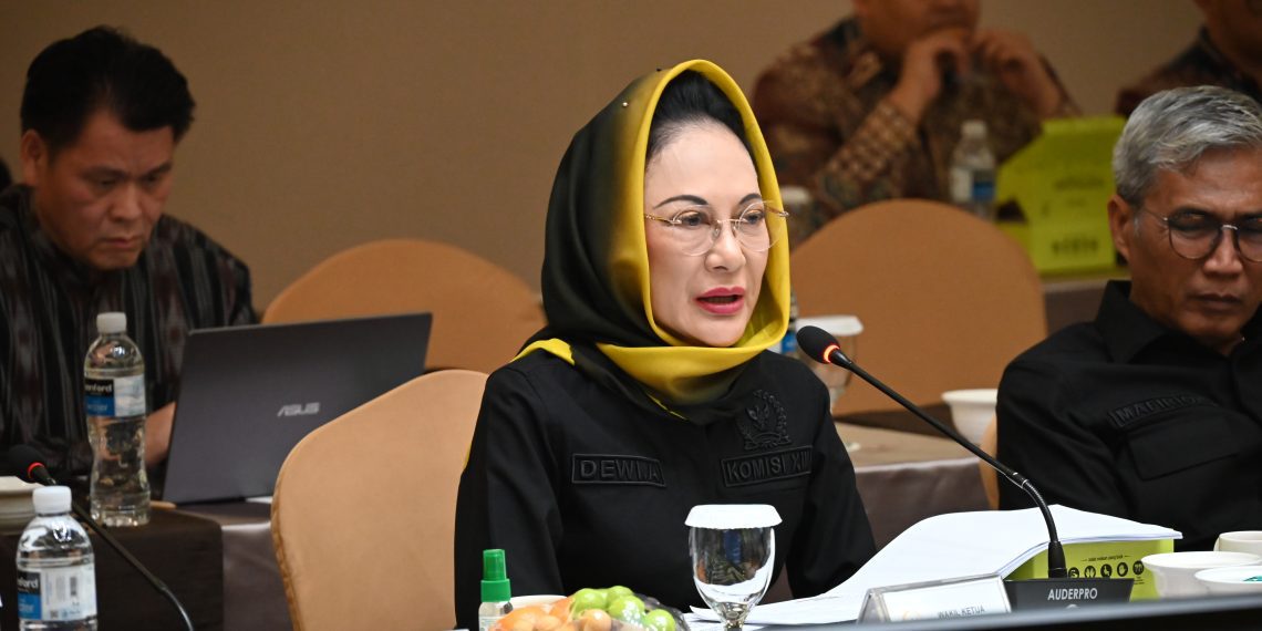 Wakil Ketua Komisi XIII DPR RI, Dewi Asmara