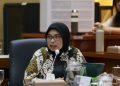 Anggota Komisi IX DPR RI, Neng Eem Marhamah Zulfa