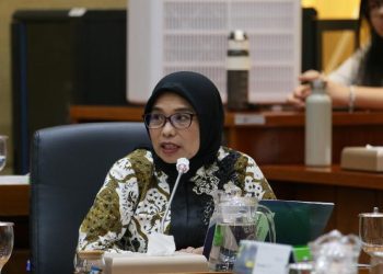 Anggota Komisi IX DPR RI, Neng Eem Marhamah Zulfa