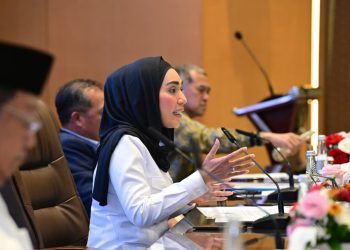Wakil Ketua DPR RI, Sari Yuliati